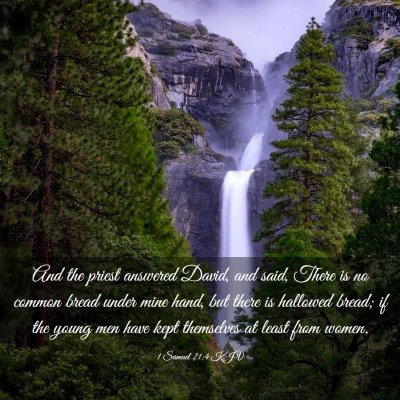 Picture 03 - 1 Samuel 21:4 KJV - And the priest answered David, and said, There is - Bible Verse Picture