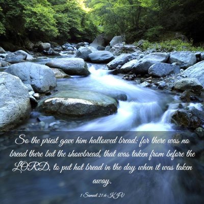 Picture 03 - 1 Samuel 21:6 KJV - So the priest gave him hallowed bread: for there - Bible Verse Picture