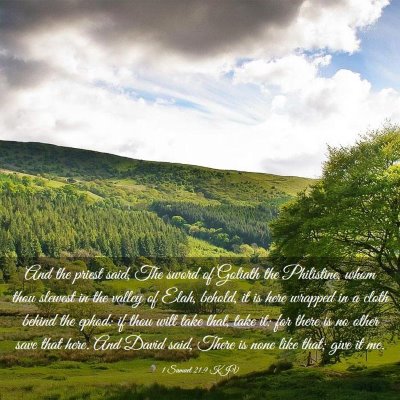 Picture 03 - 1 Samuel 21:9 KJV - And the priest said, The sword of Goliath the - Bible Verse Picture