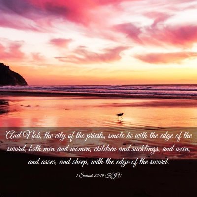 Picture 03 - 1 Samuel 22:19 KJV - And Nob, the city of the priests, smote he with - Bible Verse Picture