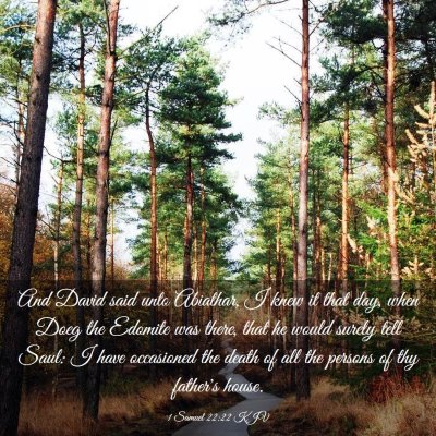 Picture 03 - 1 Samuel 22:22 KJV - And David said unto Abiathar, I knew it that day, - Bible Verse Picture