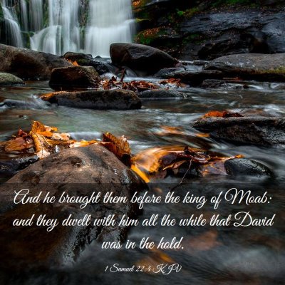 Picture 03 - 1 Samuel 22:4 KJV - And he brought them before the king of Moab: and - Bible Verse Picture