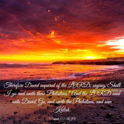 Picture 03 - 1 Samuel 23:2 KJV - Therefore David inquired of the LORD, saying, - Bible Verse Picture