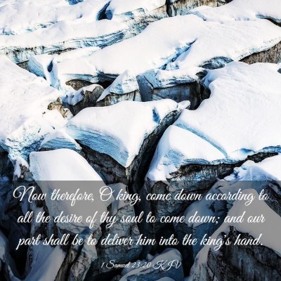 Picture 03 - 1 Samuel 23:20 KJV - Now therefore, O king, come down according to all - Bible Verse Picture