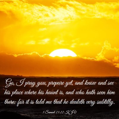 Picture 03 - 1 Samuel 23:22 KJV - Go, I pray you, prepare yet, and know and see his - Bible Verse Picture