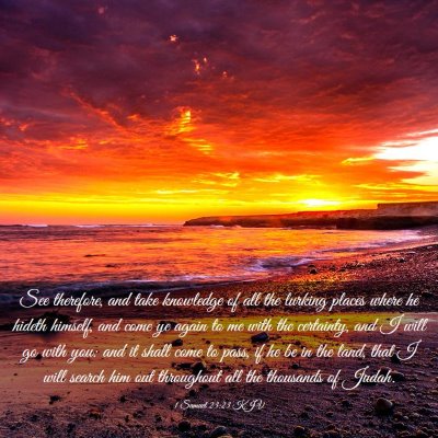 Picture 03 - 1 Samuel 23:23 KJV - See therefore, and take knowledge of all the - Bible Verse Picture