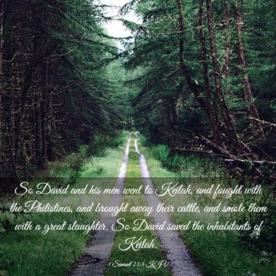 Picture 03 - 1 Samuel 23:5 KJV - So David and his men went to Keilah, and fought - Bible Verse Picture