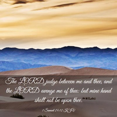 Picture 03 - 1 Samuel 24:12 KJV - The LORD judge between me and thee, and the LORD - Bible Verse Picture