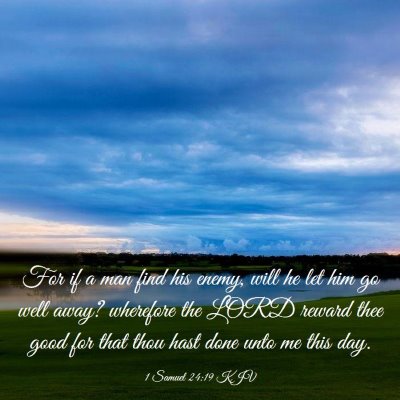 Picture 03 - 1 Samuel 24:19 KJV - For if a man find his enemy, will he let him go - Bible Verse Picture