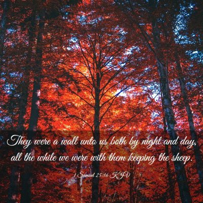 Picture 03 - 1 Samuel 25:16 KJV - They were a wall unto us both by night and day, - Bible Verse Picture
