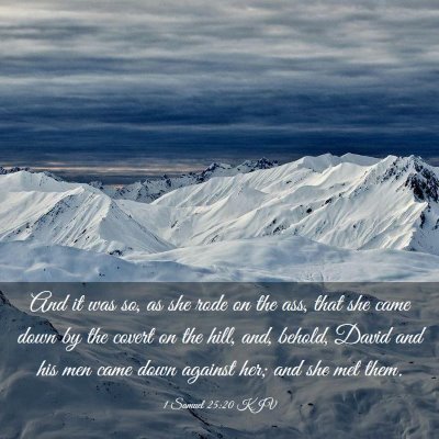 Picture 03 - 1 Samuel 25:20 KJV - And it was so, as she rode on the ass, that she - Bible Verse Picture