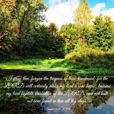 Picture 03 - 1 Samuel 25:28 KJV - I pray thee, forgive the trespass of thine - Bible Verse Picture