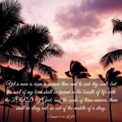 Picture 03 - 1 Samuel 25:29 KJV - Yet a man is risen to pursue thee, and to seek - Bible Verse Picture