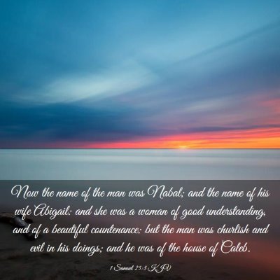 Picture 03 - 1 Samuel 25:3 KJV - Now the name of the man was Nabal; and the name - Bible Verse Picture