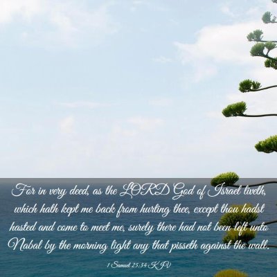 Picture 03 - 1 Samuel 25:34 KJV - For in very deed, as the LORD God of Israel - Bible Verse Picture