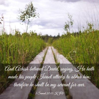 Picture 03 - 1 Samuel 27:12 KJV - And Achish believed David, saying, He hath made - Bible Verse Picture