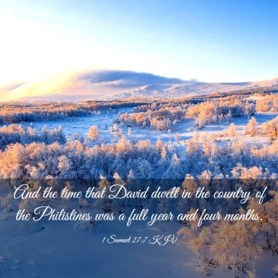 Picture 03 - 1 Samuel 27:7 KJV - And the time that David dwelt in the country of - Bible Verse Picture