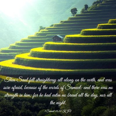 Picture 03 - 1 Samuel 28:20 KJV - Then Saul fell straightway all along on the - Bible Verse Picture
