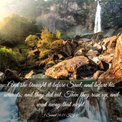 Picture 03 - 1 Samuel 28:25 KJV - And she brought it before Saul, and before his - Bible Verse Picture