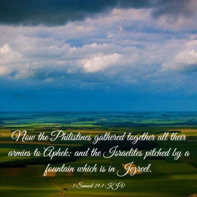 Picture 03 - 1 Samuel 29:1 KJV - Now the Philistines gathered together all their - Bible Verse Picture