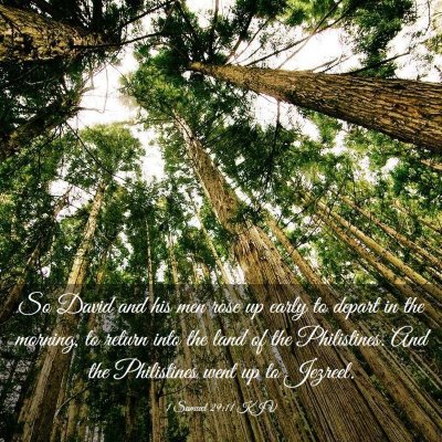 Picture 03 - 1 Samuel 29:11 KJV - So David and his men rose up early to depart in - Bible Verse Picture
