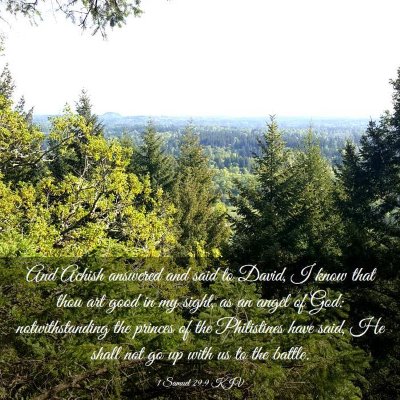 Picture 03 - 1 Samuel 29:9 KJV - And Achish answered and said to David, I know - Bible Verse Picture