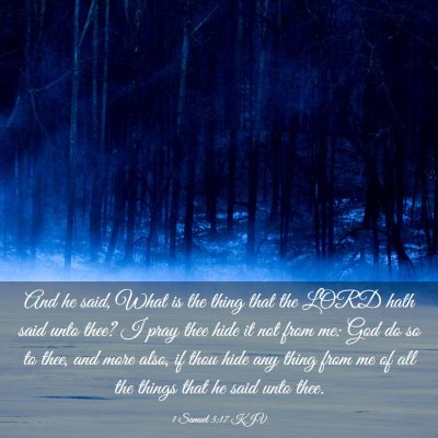 Picture 03 - 1 Samuel 3:17 KJV - And he said, What is the thing that the LORD hath - Bible Verse Picture