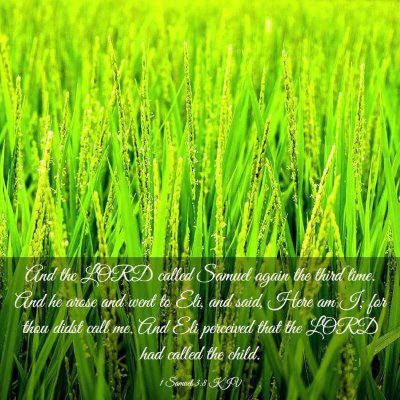 Picture 03 - 1 Samuel 3:8 KJV - And the LORD called Samuel again the third time. - Bible Verse Picture