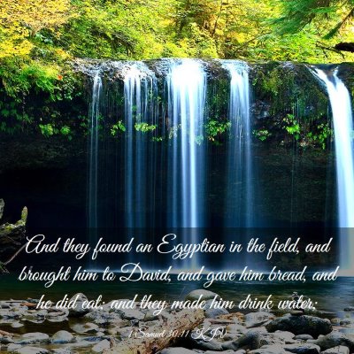 Picture 03 - 1 Samuel 30:11 KJV - And they found an Egyptian in the field, and - Bible Verse Picture