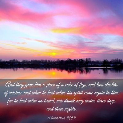 Picture 03 - 1 Samuel 30:12 KJV - And they gave him a piece of a cake of figs, and - Bible Verse Picture