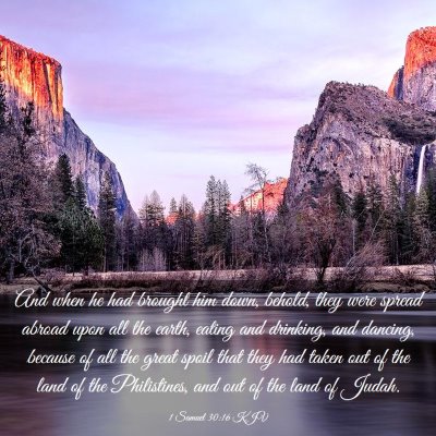 Picture 03 - 1 Samuel 30:16 KJV - And when he had brought him down, behold, they - Bible Verse Picture