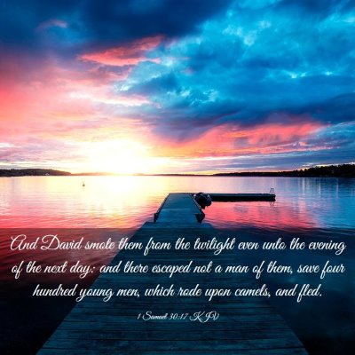 Picture 03 - 1 Samuel 30:17 KJV - And David smote them from the twilight even unto - Bible Verse Picture