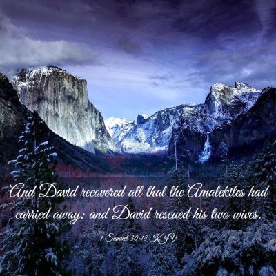 Picture 03 - 1 Samuel 30:18 KJV - And David recovered all that the Amalekites had - Bible Verse Picture