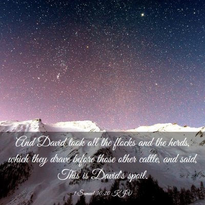 Picture 03 - 1 Samuel 30:20 KJV - And David took all the flocks and the herds, - Bible Verse Picture