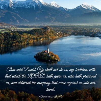 Picture 03 - 1 Samuel 30:23 KJV - Then said David, Ye shall not do so, my brethren, - Bible Verse Picture