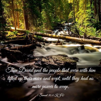 Picture 03 - 1 Samuel 30:4 KJV - Then David and the people that were with him - Bible Verse Picture