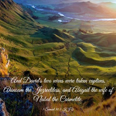 Picture 03 - 1 Samuel 30:5 KJV - And David's two wives were taken captives, - Bible Verse Picture