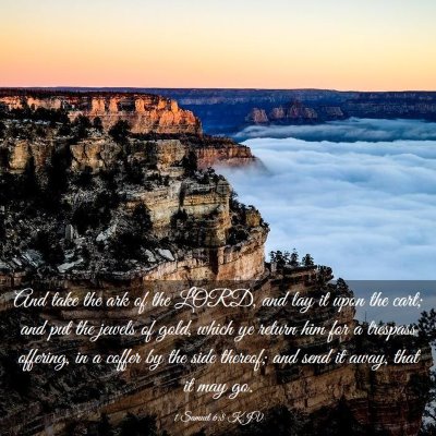 Picture 03 - 1 Samuel 6:8 KJV - And take the ark of the LORD, and lay it upon the - Bible Verse Picture
