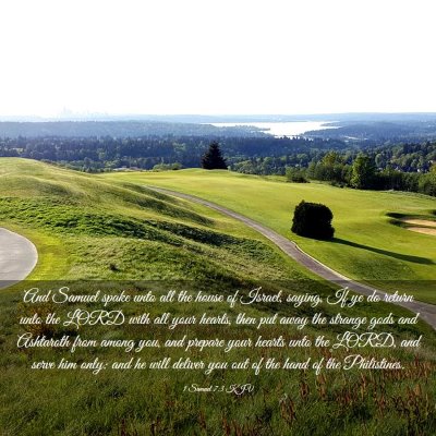 Picture 03 - 1 Samuel 7:3 KJV - And Samuel spake unto all the house of Israel, - Bible Verse Picture