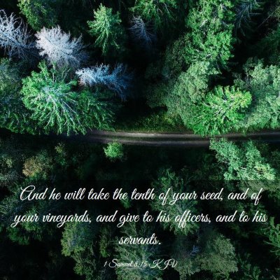 Picture 03 - 1 Samuel 8:15 KJV - And he will take the tenth of your seed, and of - Bible Verse Picture