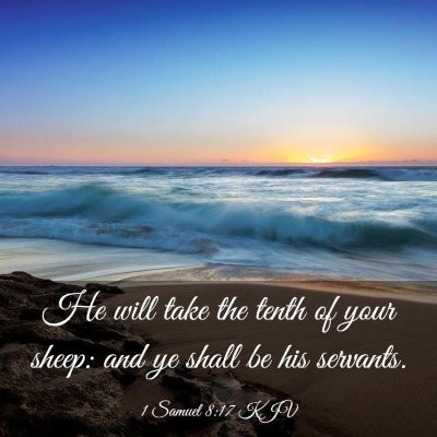Picture 03 - 1 Samuel 8:17 KJV - He will take the tenth of your sheep: and ye - Bible Verse Picture