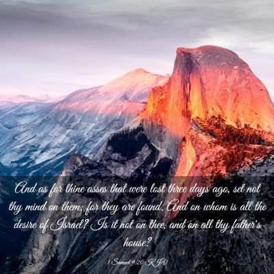 Picture 03 - 1 Samuel 9:20 KJV - And as for thine asses that were lost three days - Bible Verse Picture