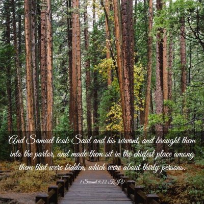 Picture 03 - 1 Samuel 9:22 KJV - And Samuel took Saul and his servant, and brought - Bible Verse Picture