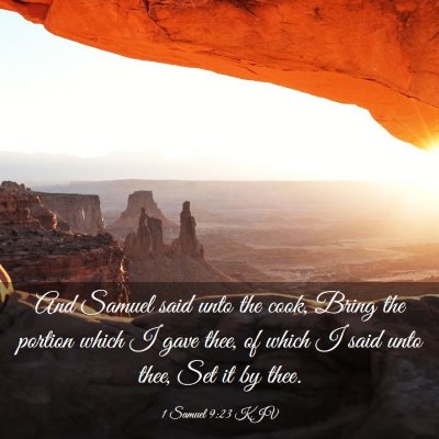 Picture 03 - 1 Samuel 9:23 KJV - And Samuel said unto the cook, Bring the portion - Bible Verse Picture
