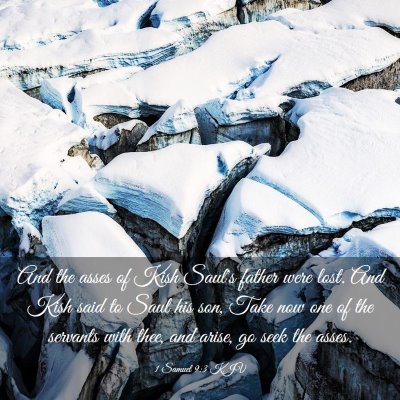 Picture 03 - 1 Samuel 9:3 KJV - And the asses of Kish Saul's father were lost. - Bible Verse Picture