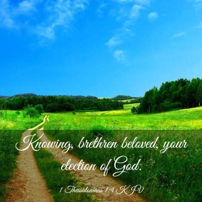 Picture 03 - 1 Thessalonians 1:4 KJV - Knowing, brethren beloved, your election of - Bible Verse Picture