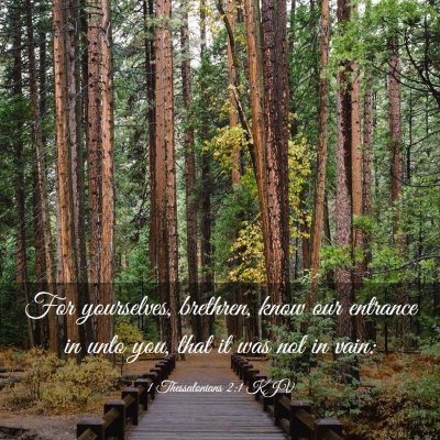 Picture 03 - 1 Thessalonians 2:1 KJV - For yourselves, brethren, know our entrance in - Bible Verse Picture