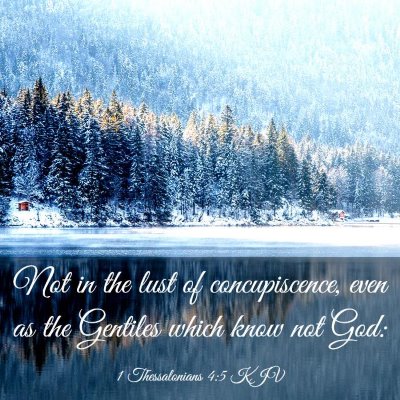 Picture 03 - 1 Thessalonians 4:5 KJV - Not in the lust of concupiscence, even as the - Bible Verse Picture