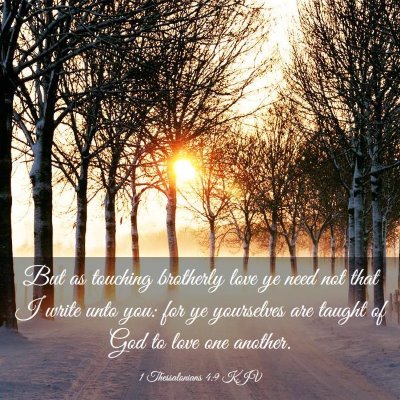 Picture 03 - 1 Thessalonians 4:9 KJV - But as touching brotherly love ye need not that I - Bible Verse Picture
