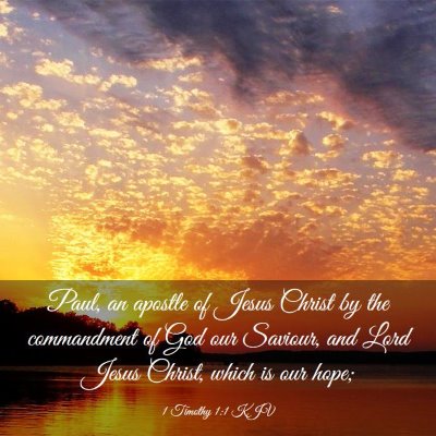 Picture 03 - 1 Timothy 1:1 KJV - Paul, an apostle of Jesus Christ by the - Bible Verse Picture